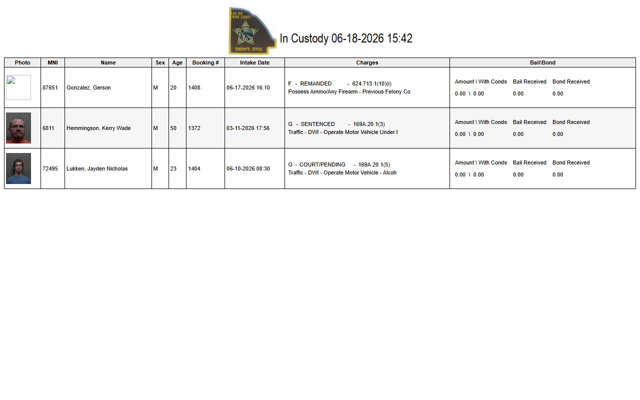 Lac qui Parle public in-custody list with booking and bond fields